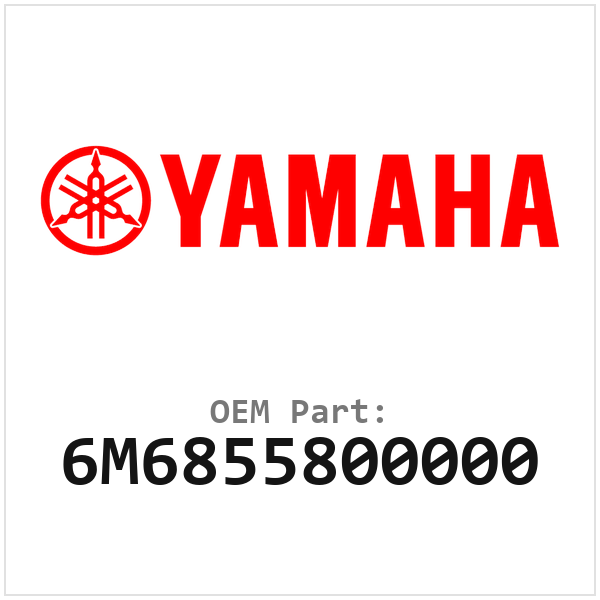 6M6855800000