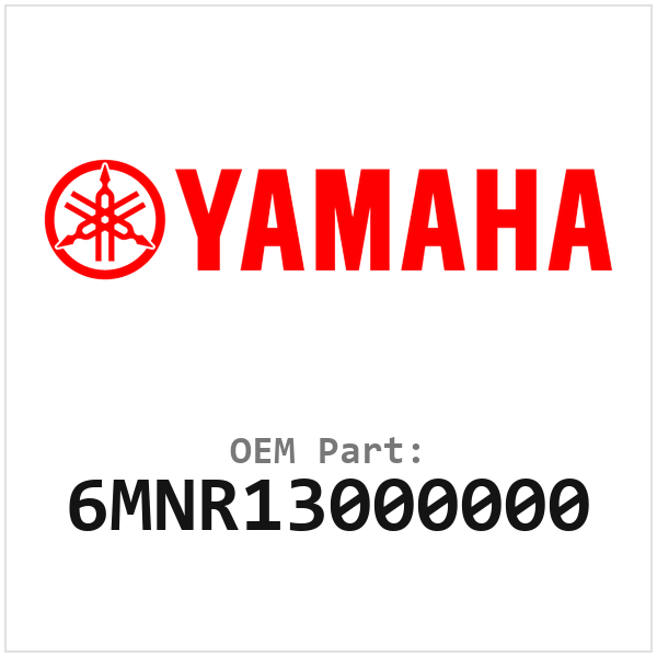 6MNR13000000