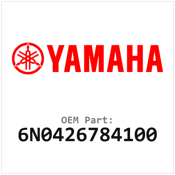 6N0426784100