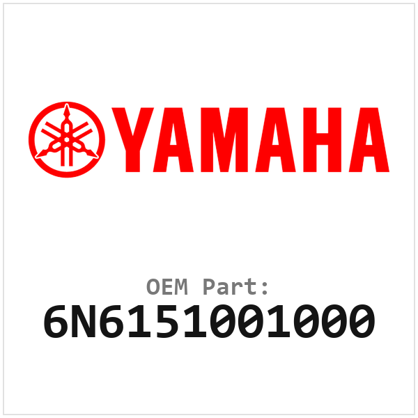 6N6151001000