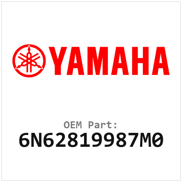 6N62819987M0