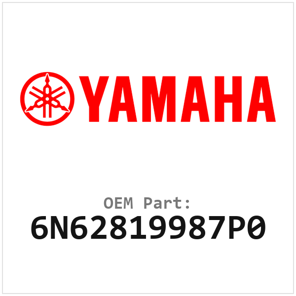 6N62819987P0