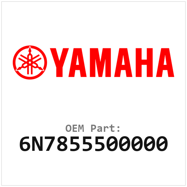 6N7855500000