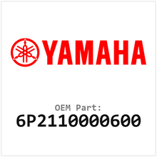 6P2110000600