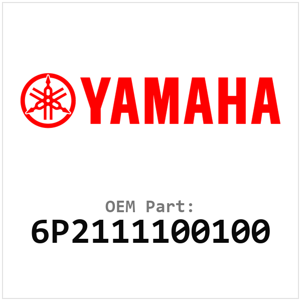 Yamaha OEM 6P2111100100