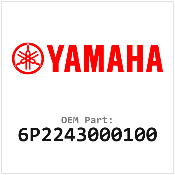 6P2243000100
