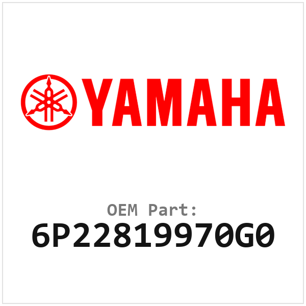 6P22819970G0