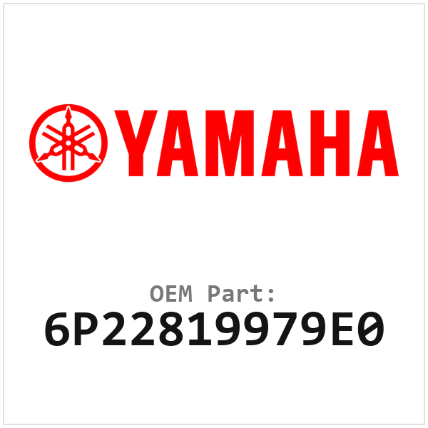 6P22819979E0