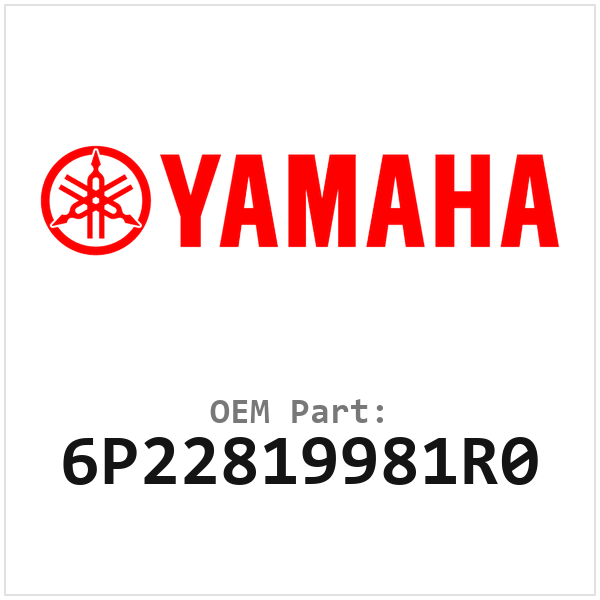 6P22819981R0