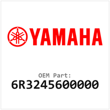 Yamaha Filter (6R3245600000)