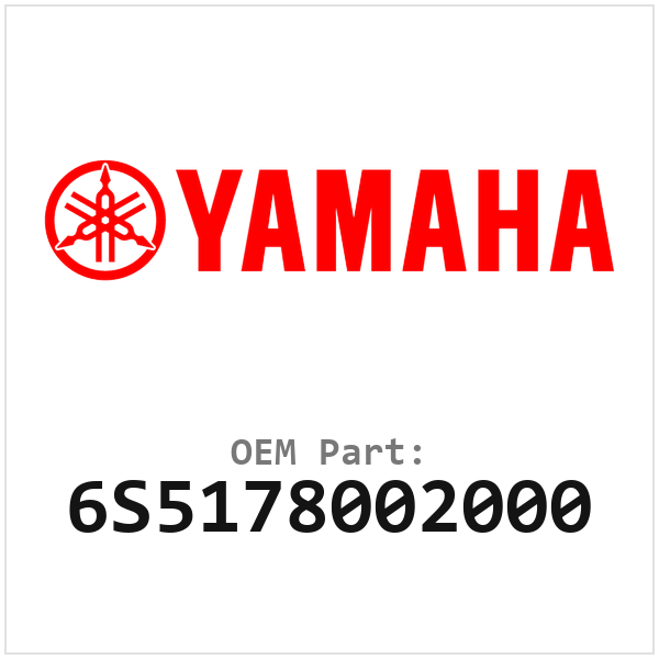 6S5178002000