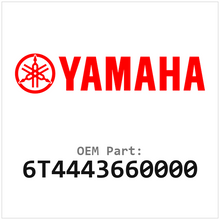 6T4443660000