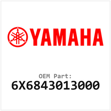 6X6843013000