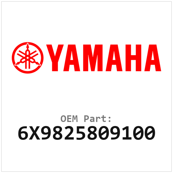 6X9825809100