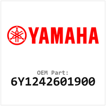 6Y1242601900