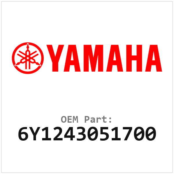 6Y1243051700