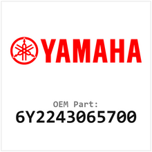 6Y2243065700