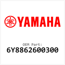 6Y8862600300