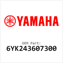 Yamaha Primer-onderdeel (6YK243607300)