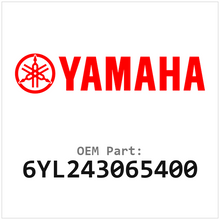 6YL243065400