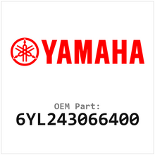 6YL243066400