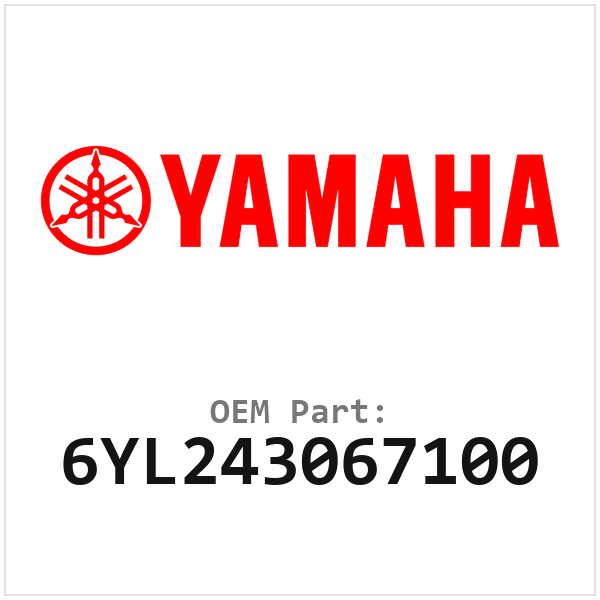 6YL243067100