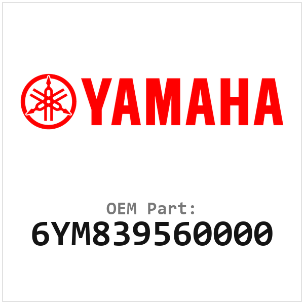 6YM839560000