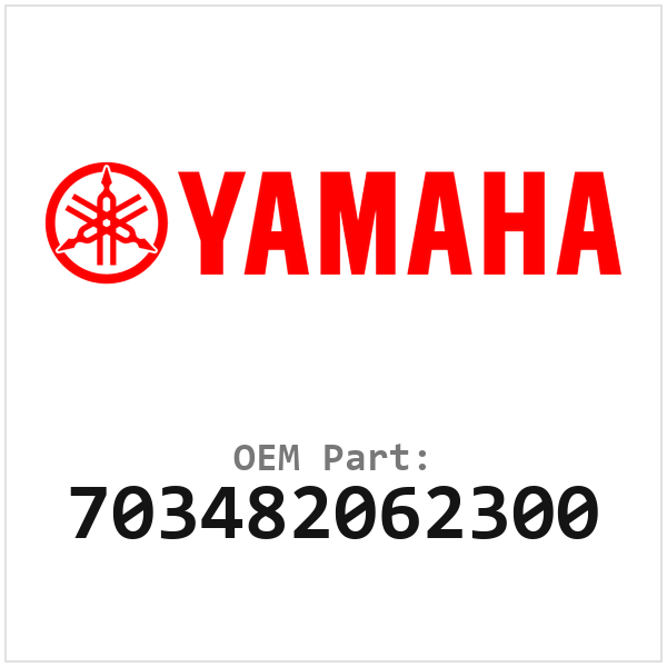 703482062300