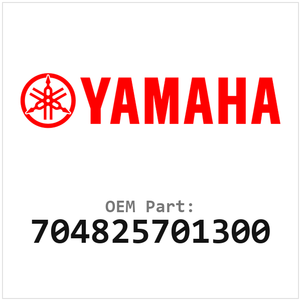 704825701300