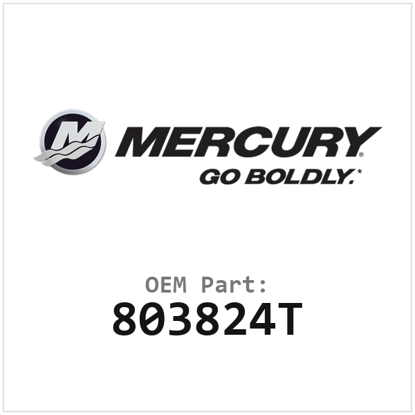 803824T