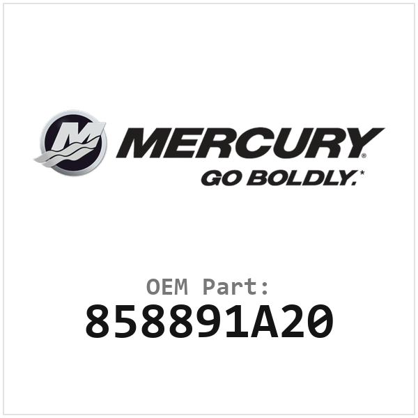 858891A20