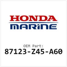 87123-Z45-A60