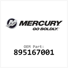 Mercury OEM 895167001