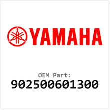 902500601300