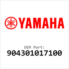 904301017100