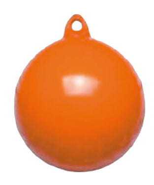 9059081