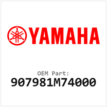 907981M74000