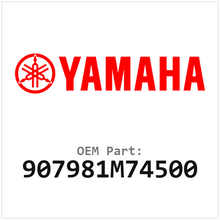 907981M74500