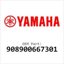 908900667301