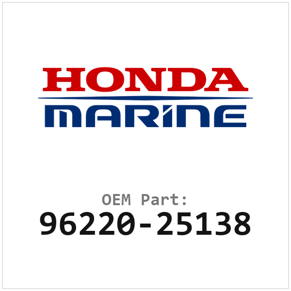 96220-25138