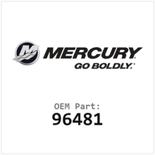 96481