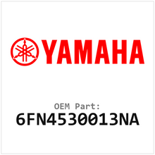 6FN4530013NA