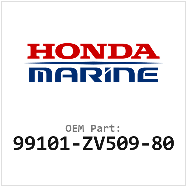 99101-ZV509-80