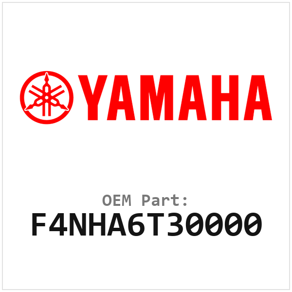 F4NHA6T30000
