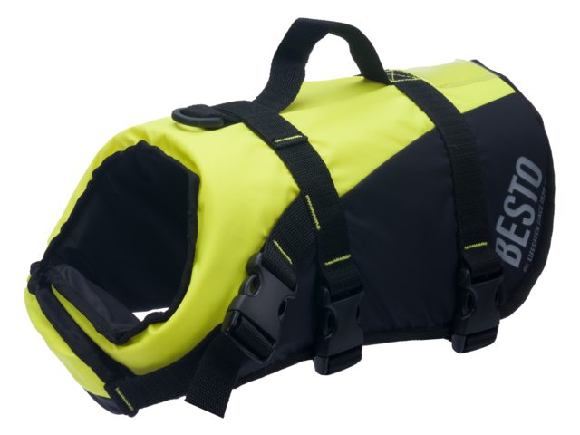 20429106