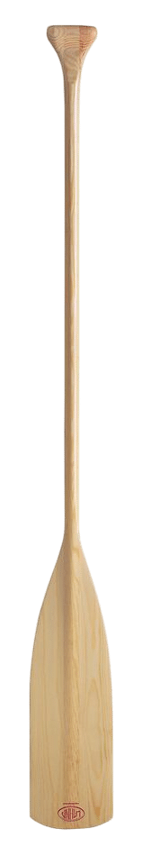 25140150