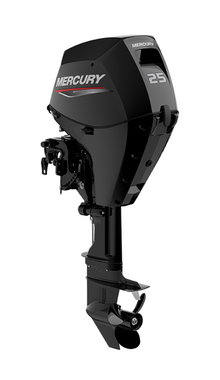 Mercury F 25