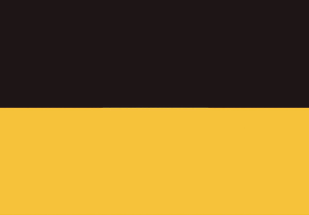 27396020