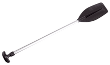 25140059