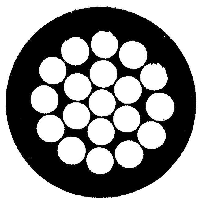 02205506
